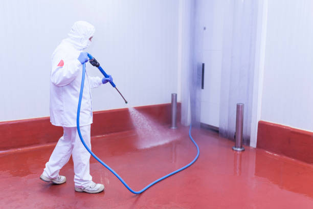 Best Driveway Pressure Washing  in Cold Spring, MN