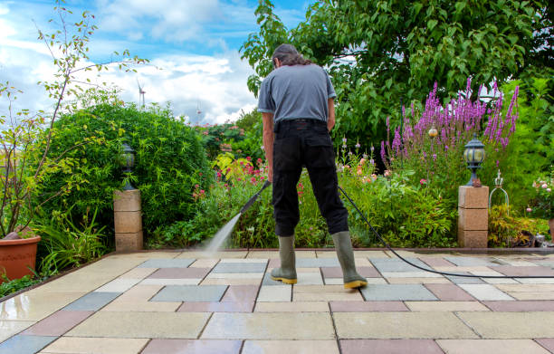 Best Post-Construction Pressure Washing  in Cold Spring, MN